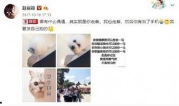 娱乐吃瓜酱怀孕,娱乐圈再掀怀孕热潮